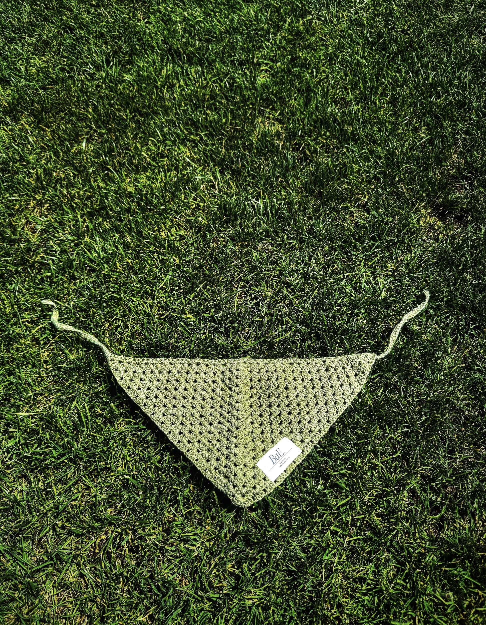 BaE for Pets - Green Bandana