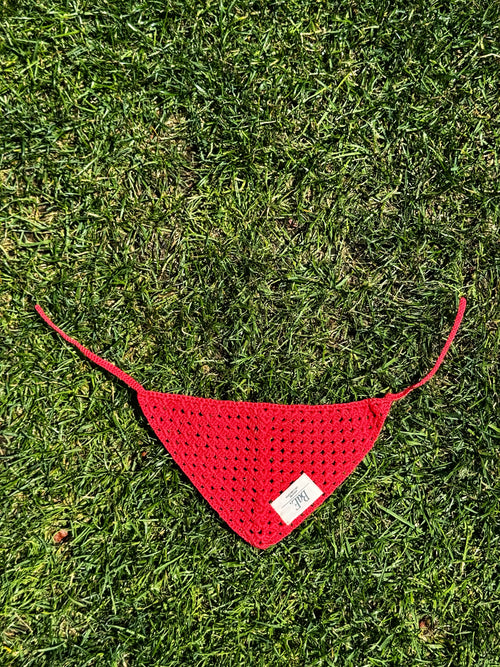 BaE for Pets - Red Bandana