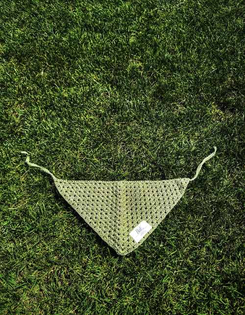 BaE for Pets - Green Bandana